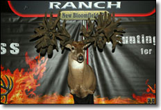 Deer Rack