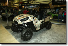 Kawasaki Teryx 800