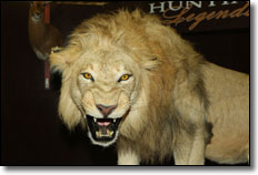 Big Game at the Great American Outdoor Show