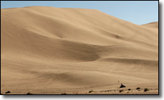 Delmont Dunes, California - ATV  Sand Dunes