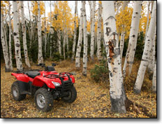2009 Honda Rancher 420 AT ES Utility ATV