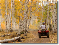 Geocaching on an ATV