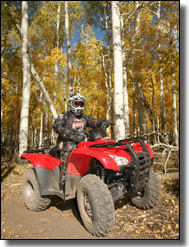 2009 Honda Rancher 420 AT ES Utility ATV