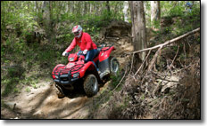 2012 Honda Foreman 500 4x4 EPS Utility ATV