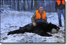Black Bear Kill