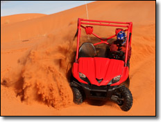 2008 Kawasaki Teryx 750 4x4 RUV - Sand Dunes