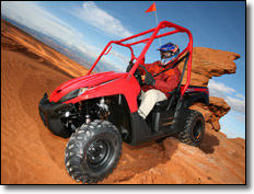 2008 Kawasaki Teryx 750 4x4 RUV - Sand Dunes