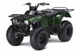 Kawasaki Bayou 250 Woodsman Green ATV