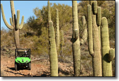 2009 Kawasaki Teryx 750 FI Sport 4x4 RUV UTV Model