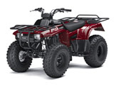 Kawasaki Bayou 250 Woodsman Green ATV