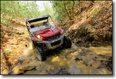 2010 Kawasaki Teryx 750 EFI 4x4 UTV - Mine Made Paradise Park