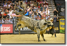 Kawasaki PBR Professional Bull Riders