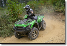2013 Kawasaki Brute Force 750 Special Edition