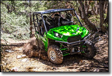 Kawasaki Teryx 4 LE SxS