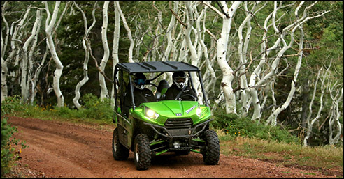 Kawasaki Teryx 4 800