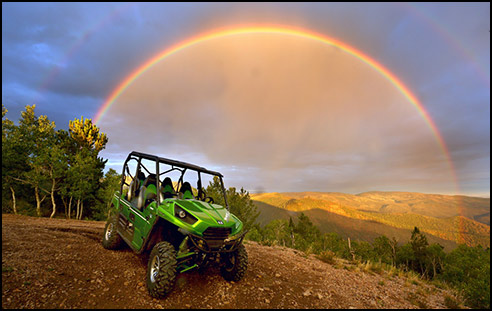 Kawasaski Teryx4 800