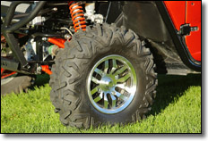 Maxxis Bighorn 2.0 Tires