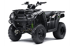 Kawasaki Brute Force 300