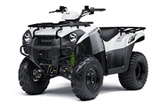 Kawasaki Brute Force 300