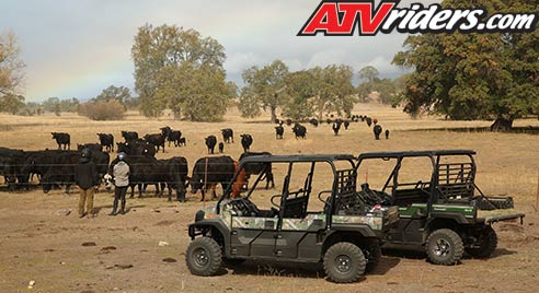 Kawasaki Mule Pro FXT Cows