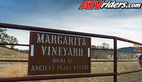 Margarita Vineyard