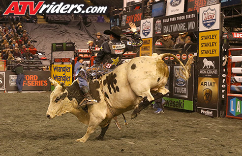 Stormy Wing PBR