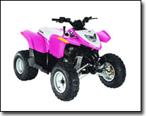 Polaris Phoenix 200 ATV