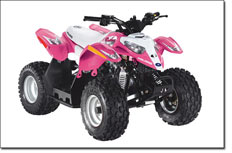 Polaris Outlaw 50 Youth ATV