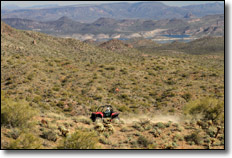 2011 Polaris Ranger RZR XP 900 SxS / UTV