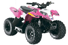 2012 Polaris Sportsman 50 Youth ATV