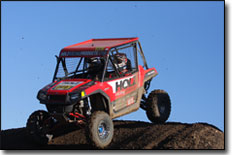 Polaris UTV RZR Holz