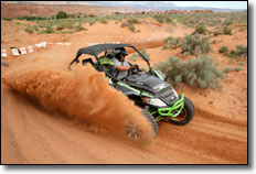 Arctic Cat Wildcat 1000