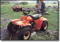 1984 Suzuki LT50 QuadRunner ATV