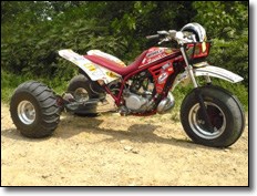 Trike Fest Yamaha Tri-Z Drag Bike