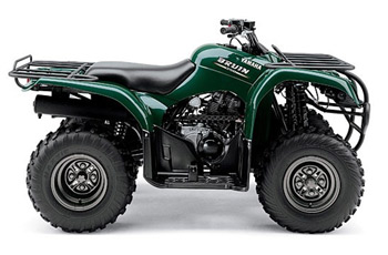 Picture of Recalled Bruin 250 All-Terrain Vehicle