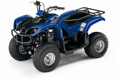 Grizzly 80 Mini ATV