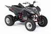 gray 2007 Yamaha Raptor 350 ATV