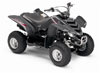 Grey 2007 Yamaha Raptor 50 Mini ATV