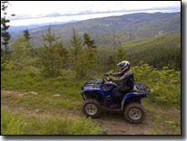 2007 Yamaha Grizzly 700 FI 4x4 ATV