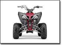 2008 Yamaha Raptor 250 Sport ATV Info - Features, Benefits and  Specifications