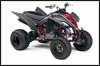 2008 Yamaha Raptor 350 ATV 