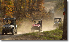 2008 Yamaha Rhino 700 EFI