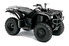 Blue 2008 Grizzly 350 Automatic Utility ATV