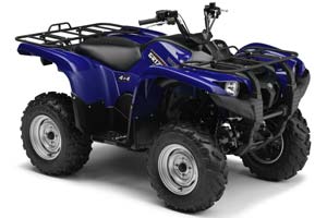 Grizzly 550 IRS ATV