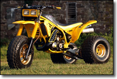 1985 Yamaha Tri-Z 250 3 Wheeler