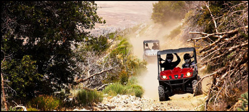 Yamaha Rhino UTV / SxS 