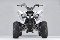 2010 Flame Yamaha Raptor 250 Sport ATV