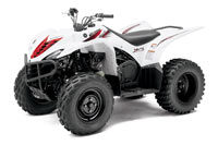 Wolverine 450 ATV