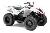 2010 Yamaha Wolverine 450 Sport ATV