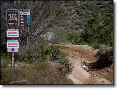Yamaha OHV Initiative